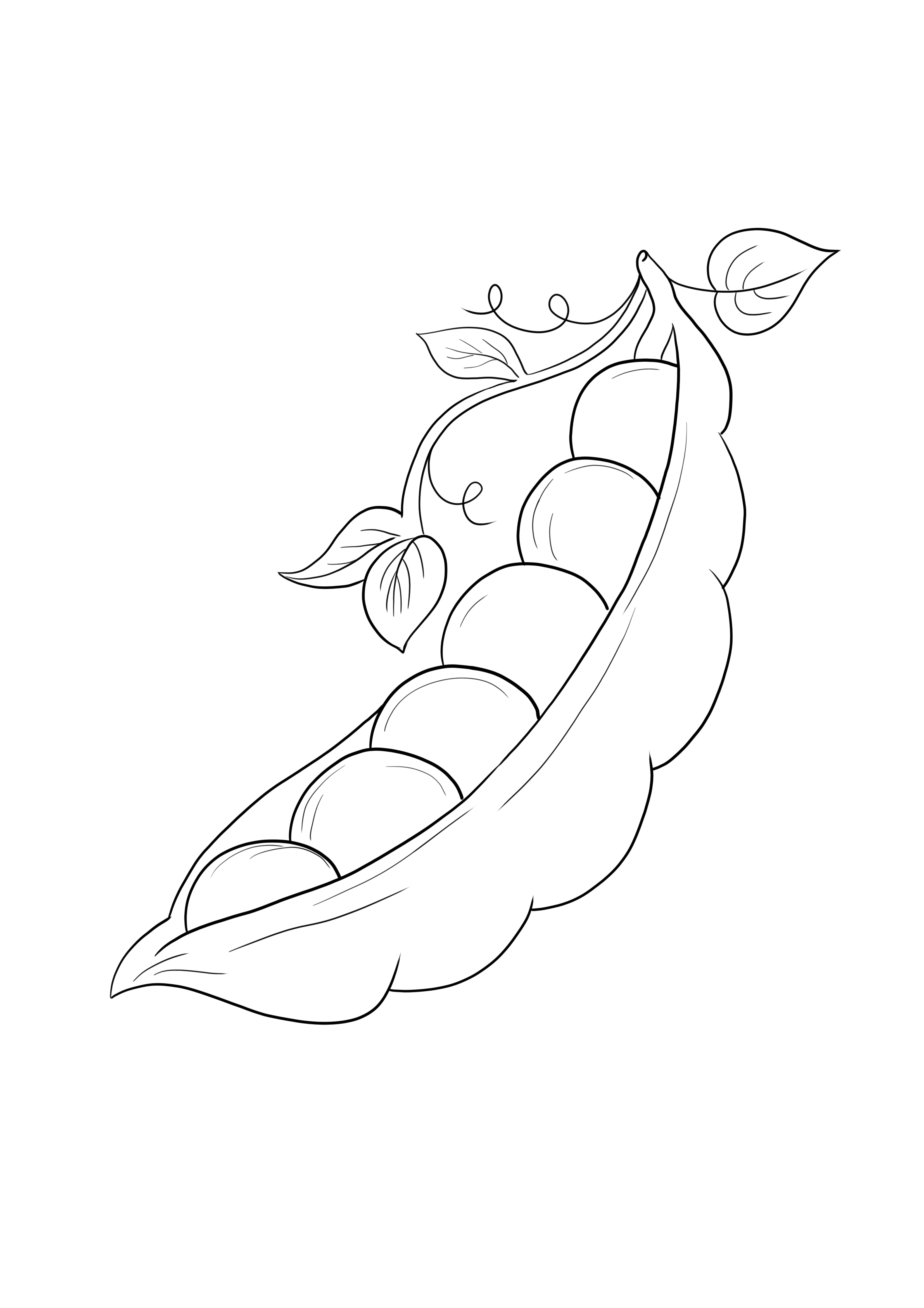 Green peas to color and print or download for free