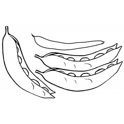 Peas coloring pages