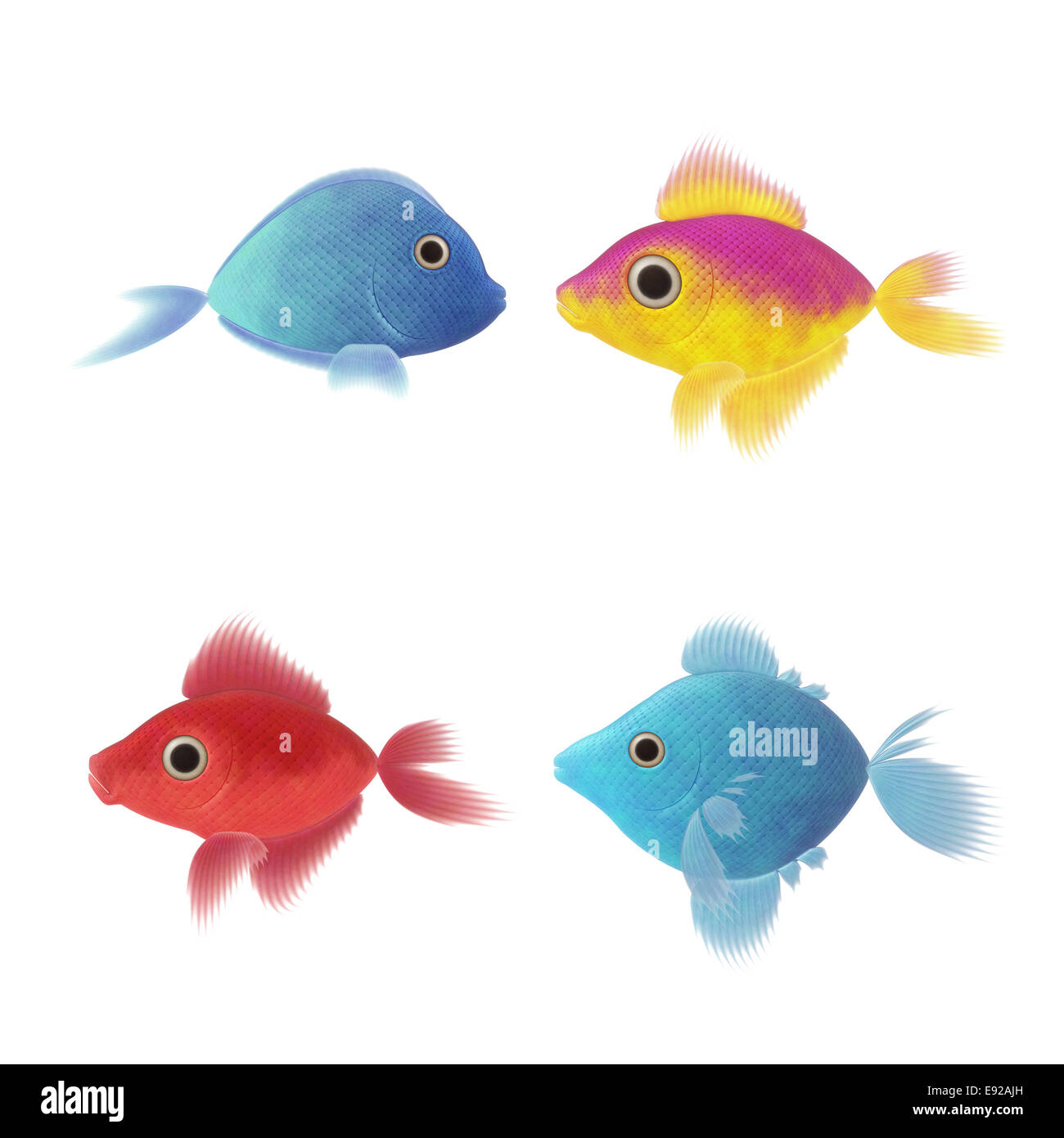 Four fish illustrations fotografãas e imãgen de alta roluciãn