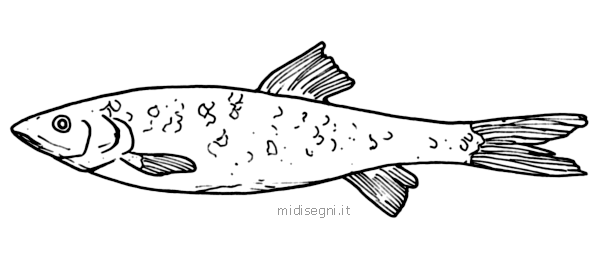 Dibujos para colorear