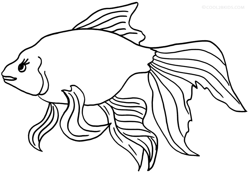 Dibujos de peces de colores para colorear