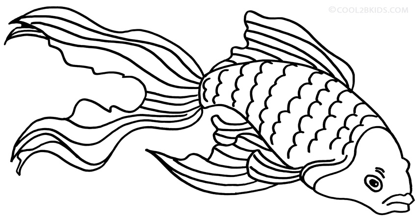 Dibujos de peces de colores para colorear