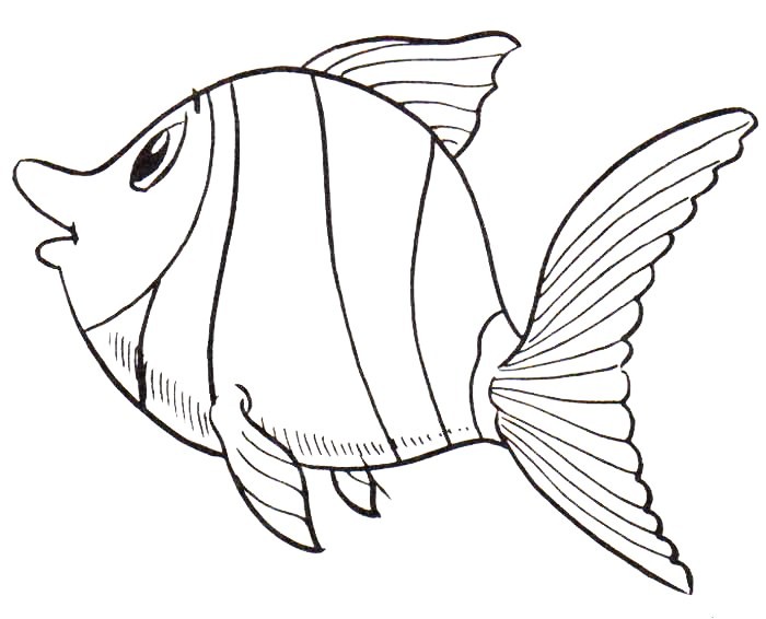 Peces para colorear pintar e imprimir