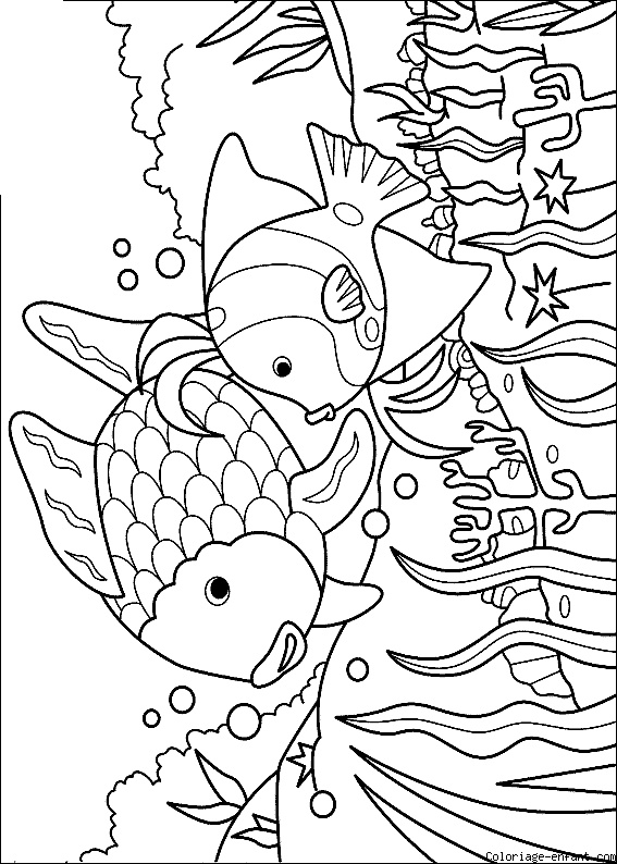 Httpwwwcolouringpageskidspicsgif pãginas para colorear de animales libro de colores peces arco iris