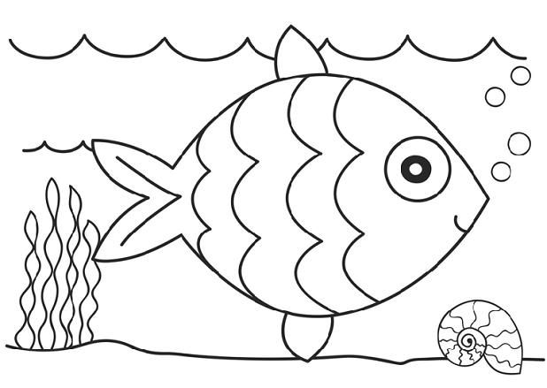 Dibujos de pec para colorear e imprimir pez para colorear libro de color pãginas para colorear precolar