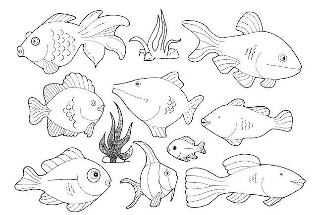Bajo el mar dibujos recortabl y posters de animal marinos cuela en la nube â pãginas para colorear de animal pãginas para colorear animal marinos