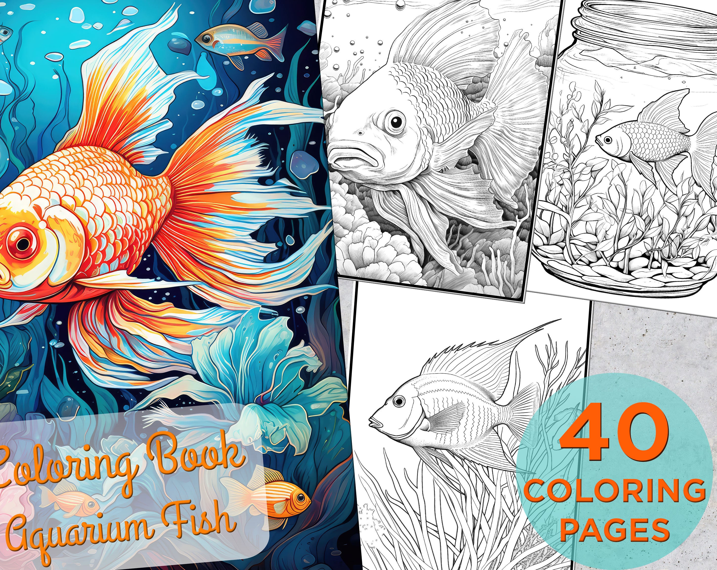Goldfish coloring