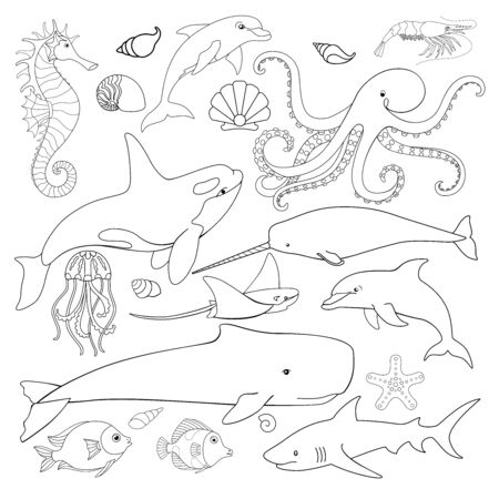 Animal marinos para colorear imãgen y fotos
