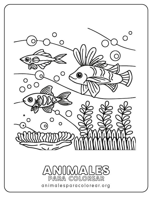 Peces para colorear descargar e imprimir gratis