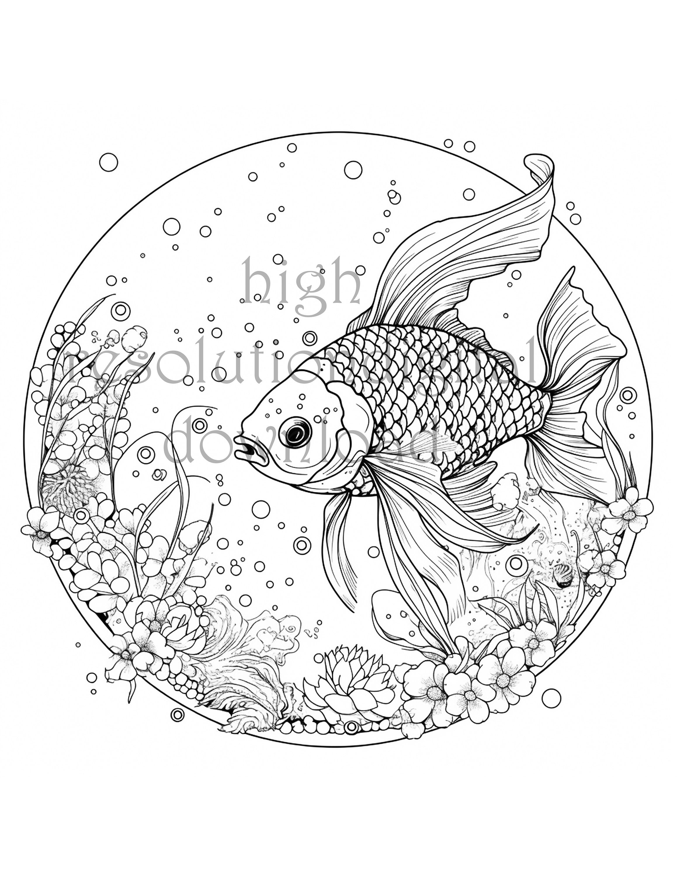 Goldfish coloring