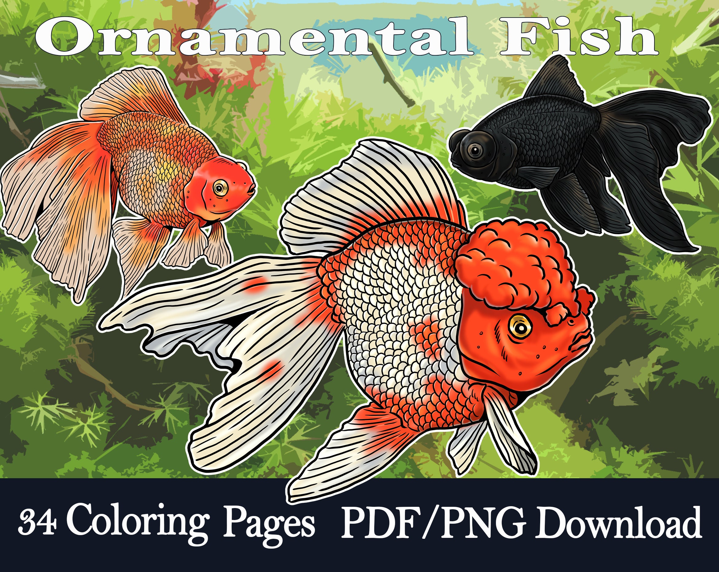 Goldfish coloring