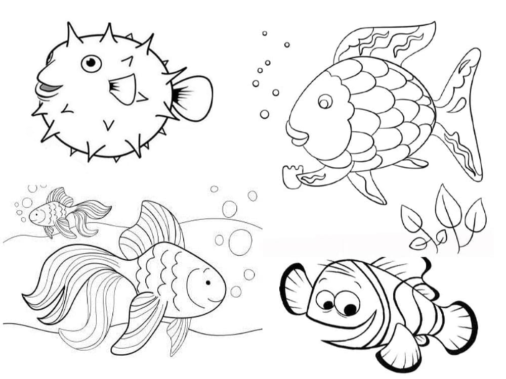 Peces para colorear ð