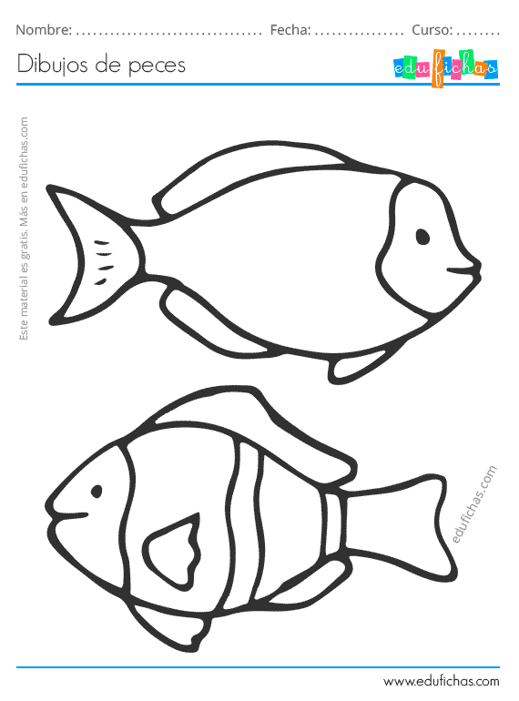 Dibujos de peces para colorear descarga gratis dibujos para niãos