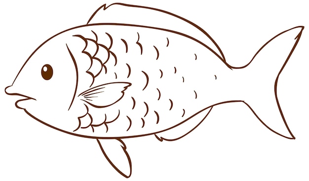 Imãgen de pez dibujo