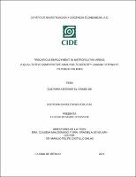 Precarious employment in metropolitan areas a qualitative comparative analysis to identify causal pathways to public policies