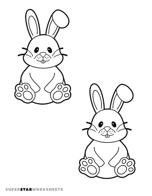 Bunny template