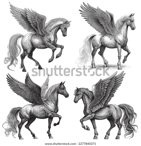 Pegasus drawing images stock photos d objects vectors