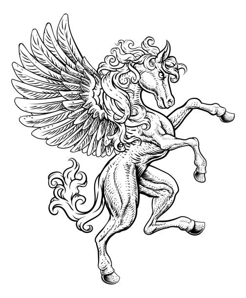 Pegasus drawing stock photos pictures royalty