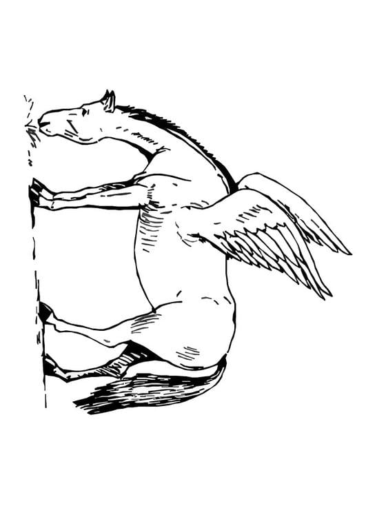 Coloring page pegasus