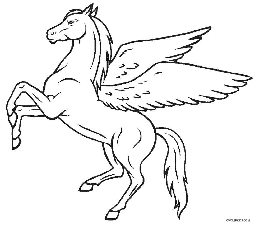 Pegasus drawing unicorn coloring pages unicorn drawing