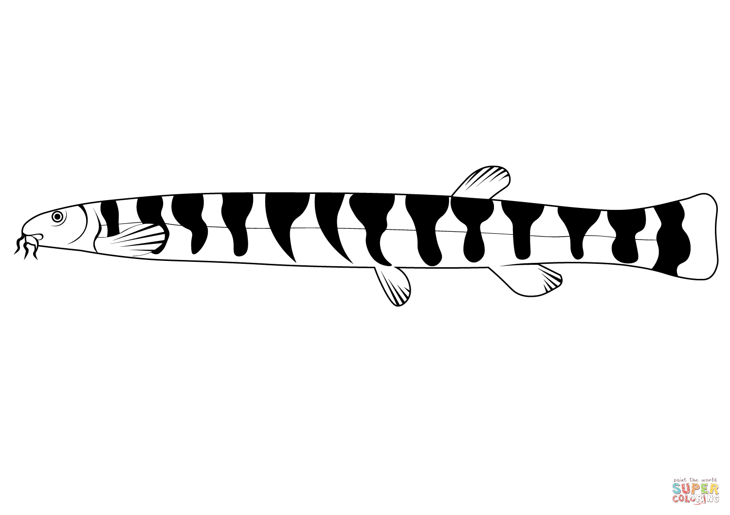 Desenho de cobrinha kuhli pangio kuhlii para colorir desenhos para colorir e imprimir gratis