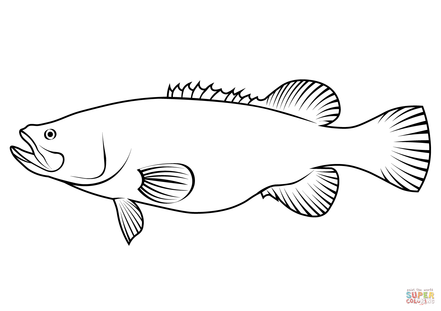 Trout cod maccullochella macquariensis coloring page free printable coloring pages