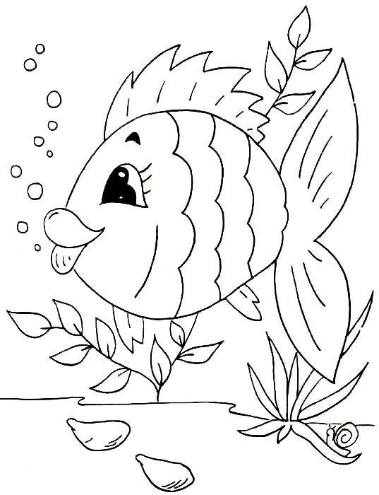 Fish coloring page coloring pages coloring books