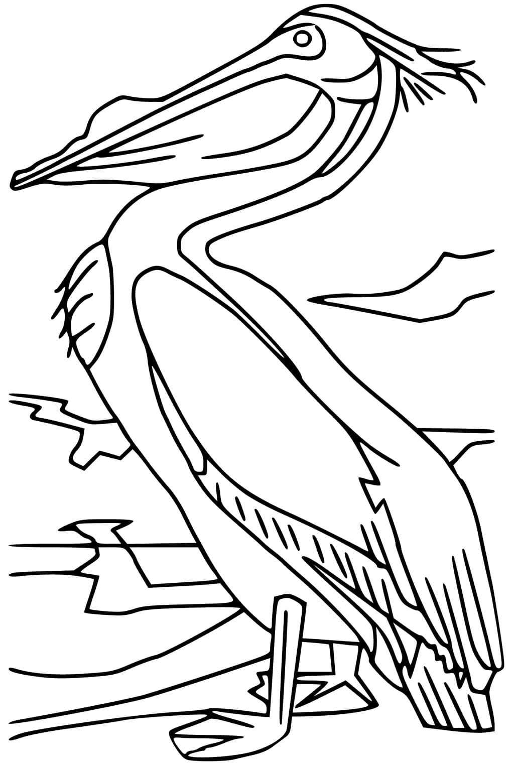 Very easy pelican coloring page