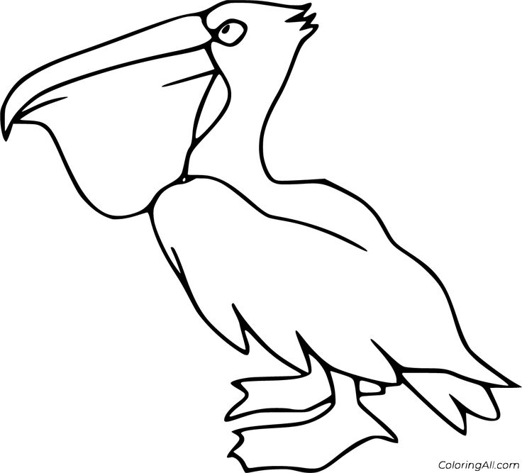 Free printable pelican coloring pages in vector format easy to print from any device and automatically fit any papâ coloring pages bird coloring pages color