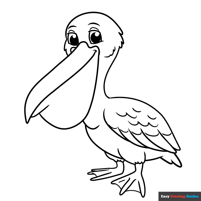 Pelican coloring page easy drawing guides