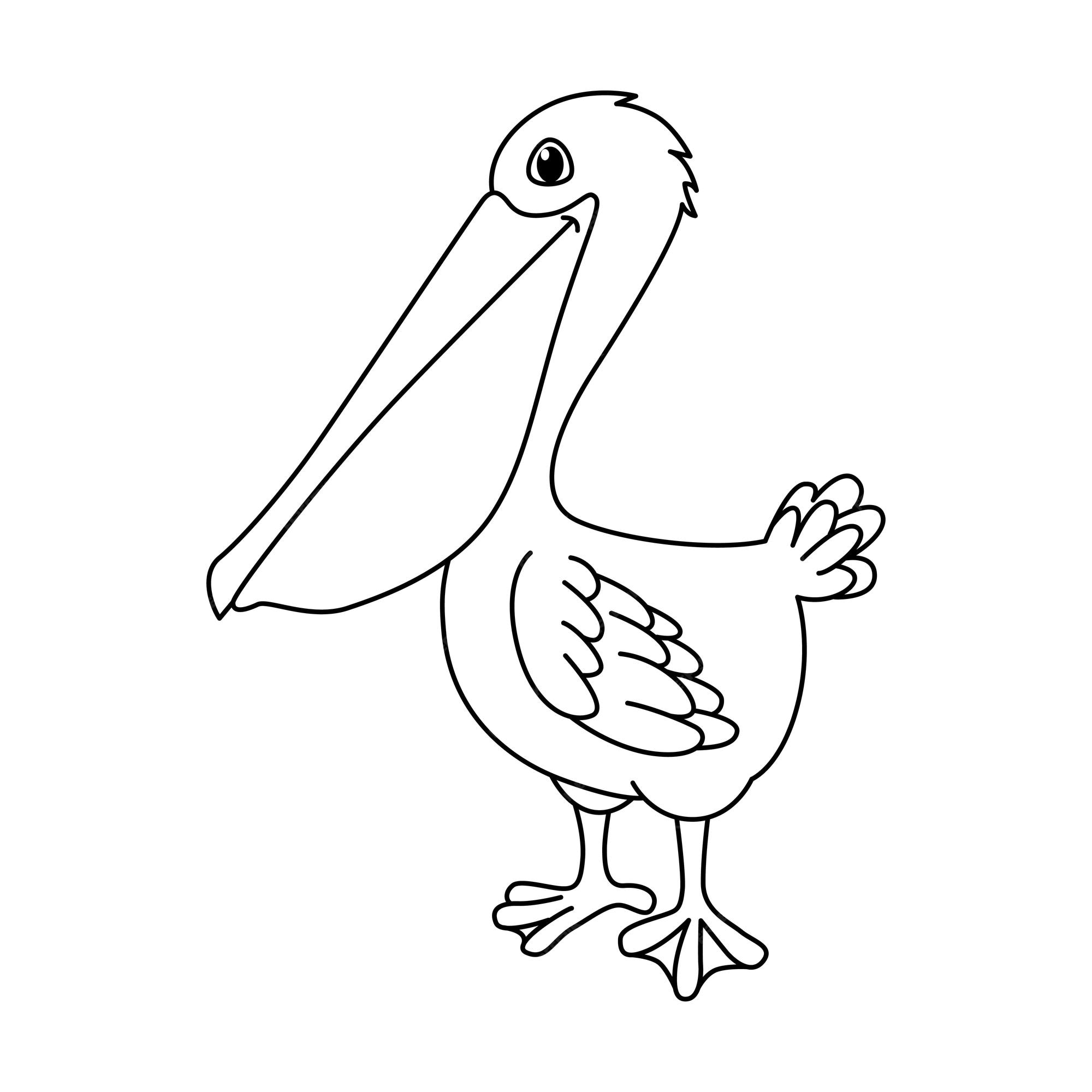Premium vector cute pelican cartoon coloring page illustration vector for kids coloring book