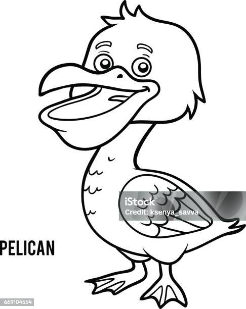 Coloring book pelican stock illustration