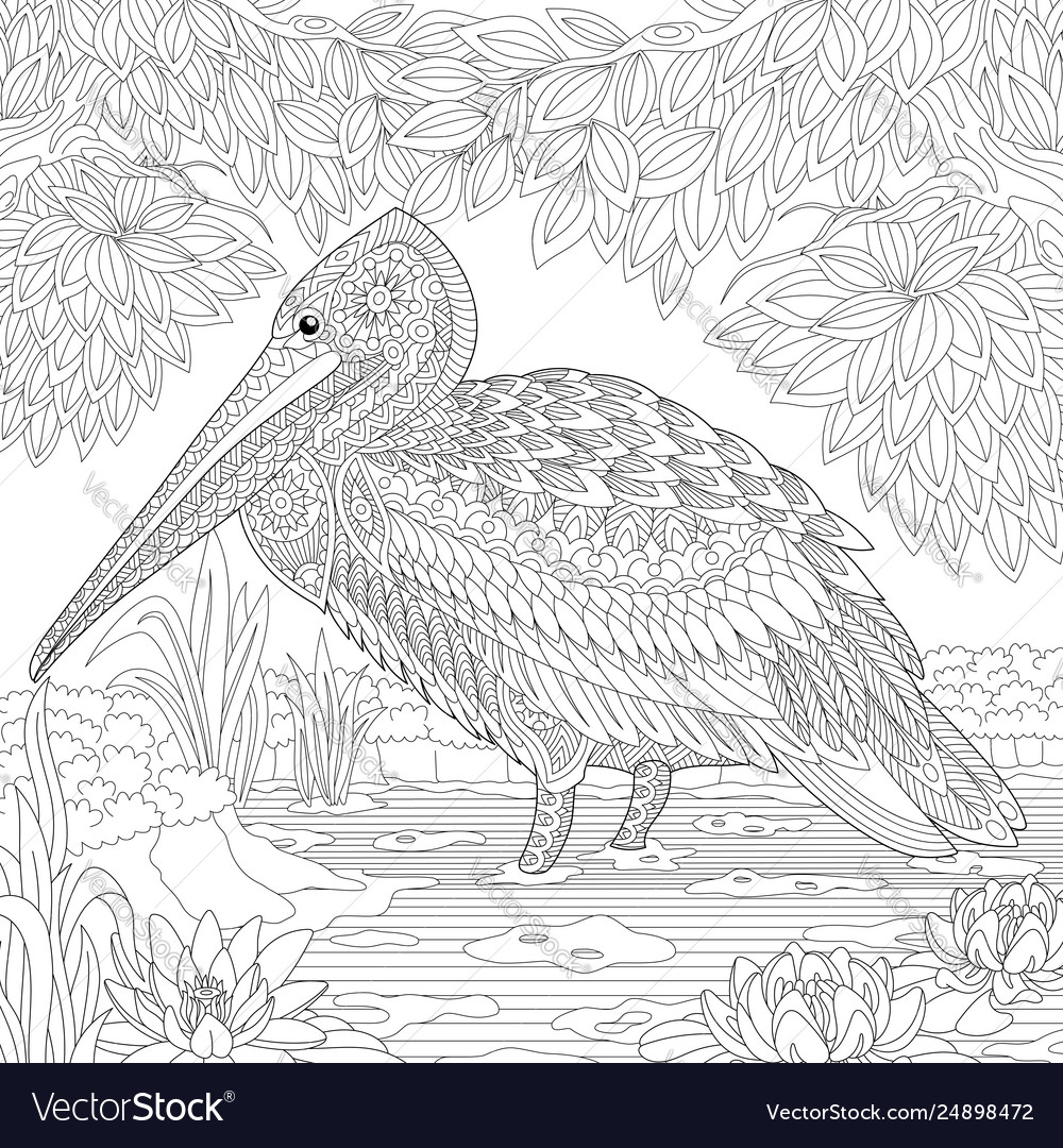 Pelican or crane bird adult coloring page vector image