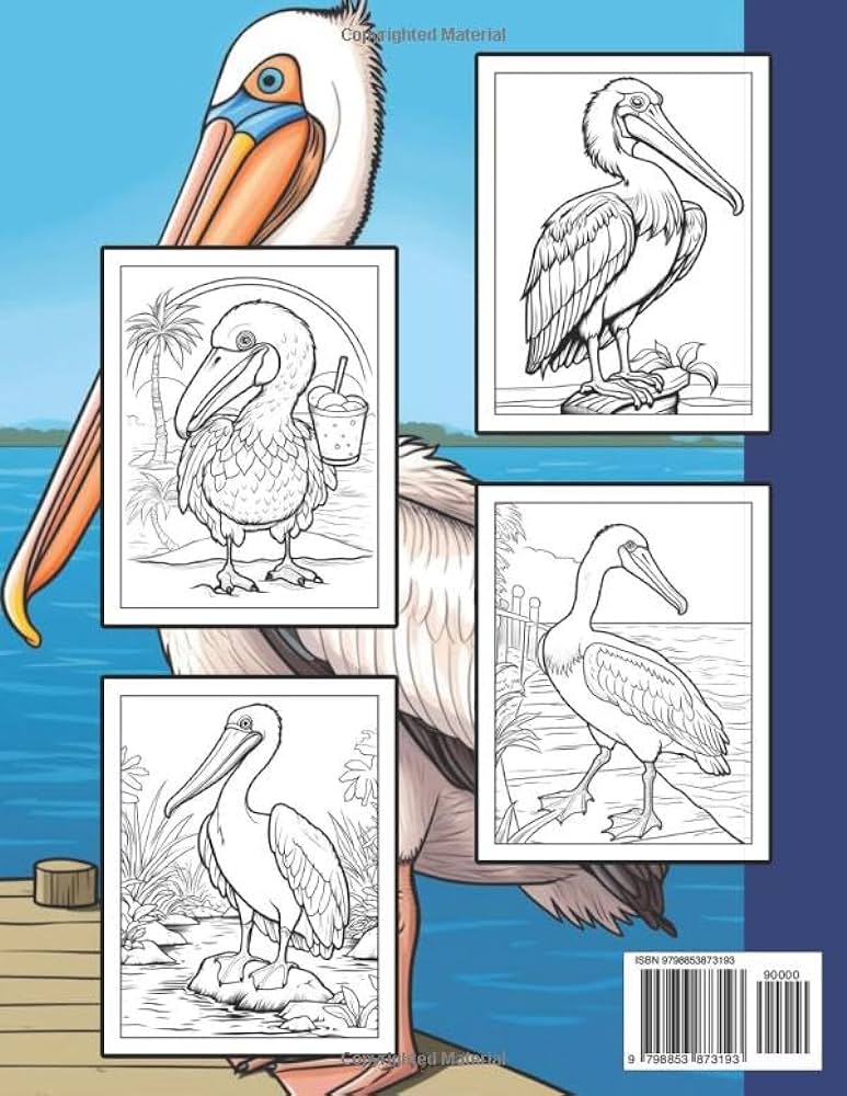 Pelican coloring book for kids unique pelican coloring pages for kids boys girls toddlers preschoolers kindergarten funny stress relieving awesome pelican designs for children relaxation dana publishing books
