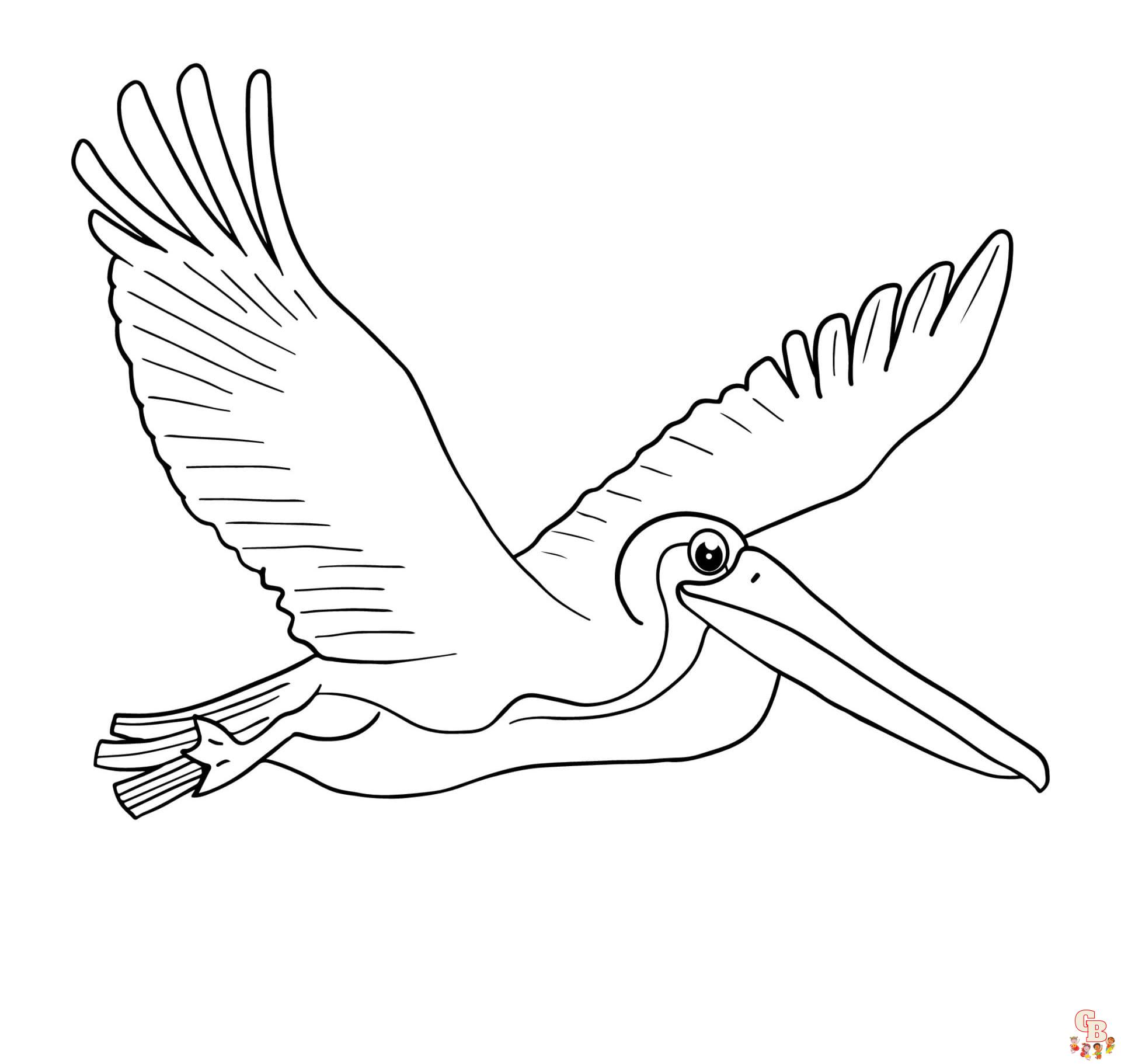 Printable pelican coloring pages free for kids and adults