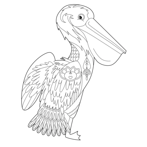 Pelican coloring page vector images