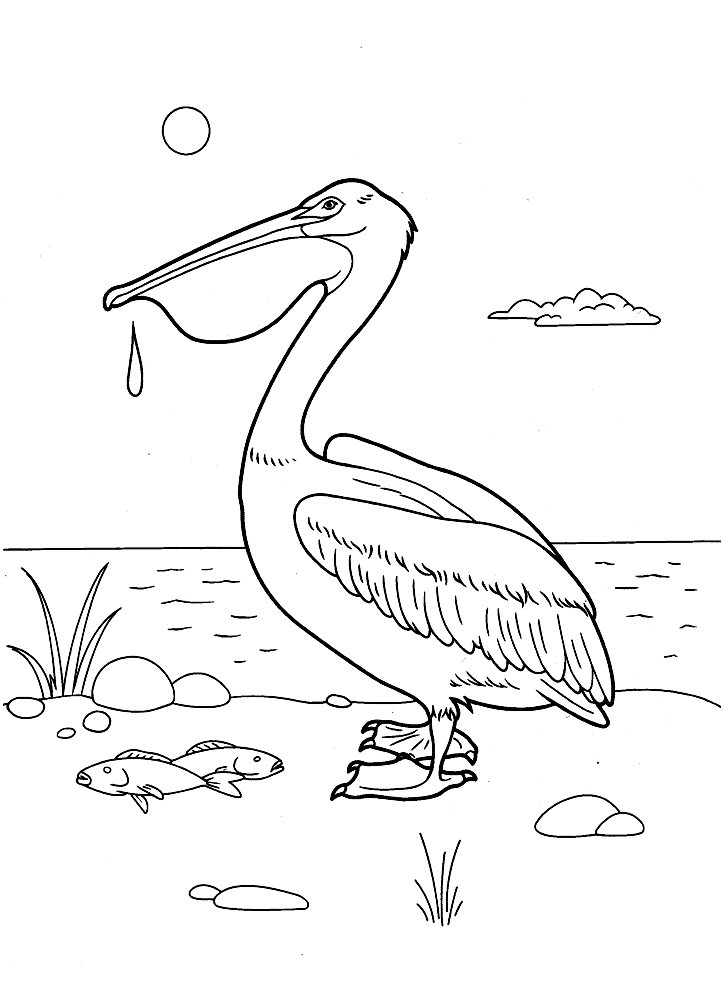 Coloring page