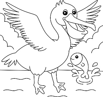 Pelican animal coloring page colored illustration pelecanus vector australian vector animal drawing rat drawing ring drawing png and vector with transparent background for free download