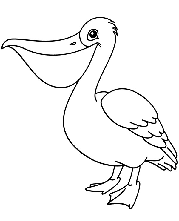 Bird pelican coloring page to print