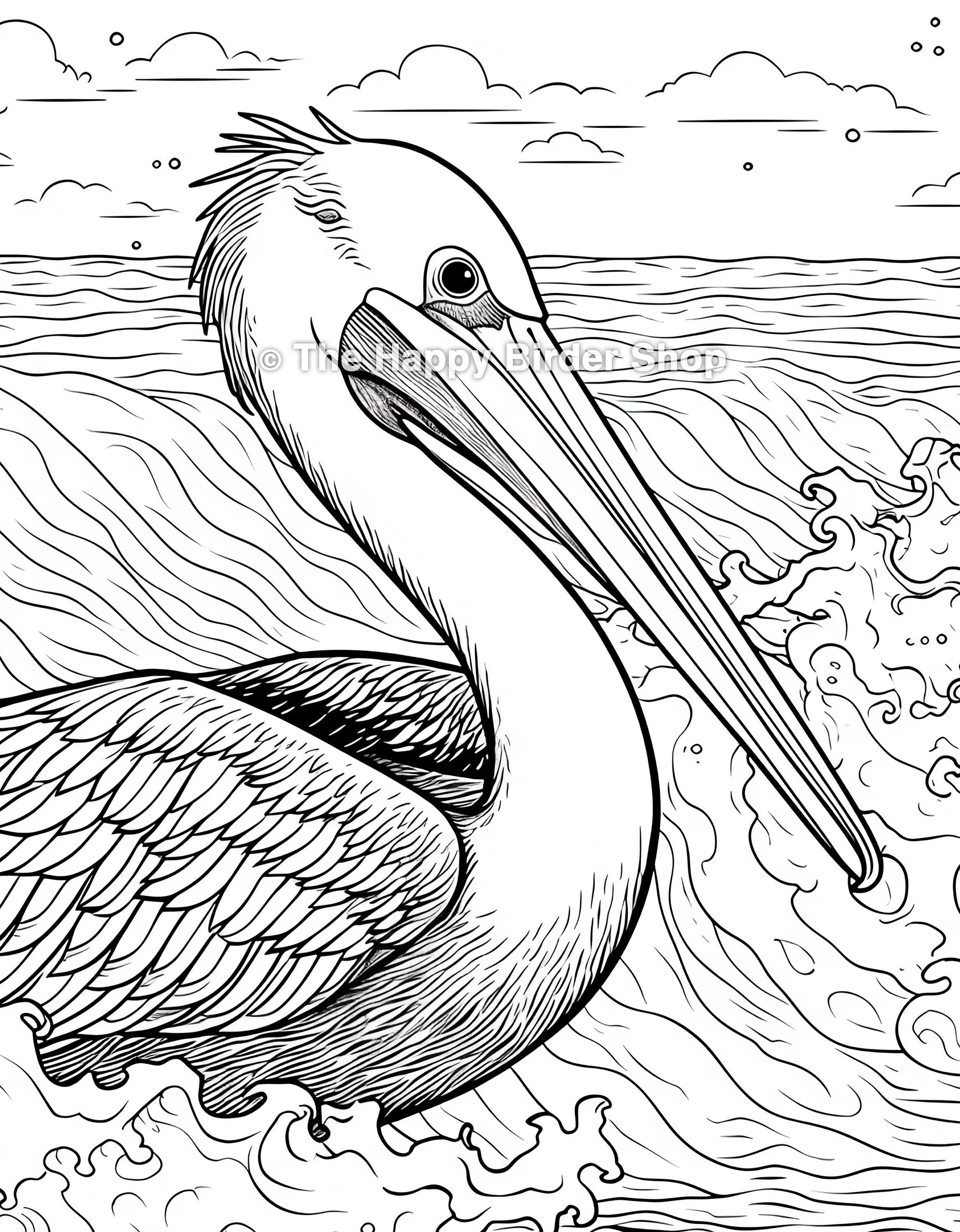 Pelican coloring book page printable pelican coloring page instant download pelican drawing bird coloring page relaxing activity