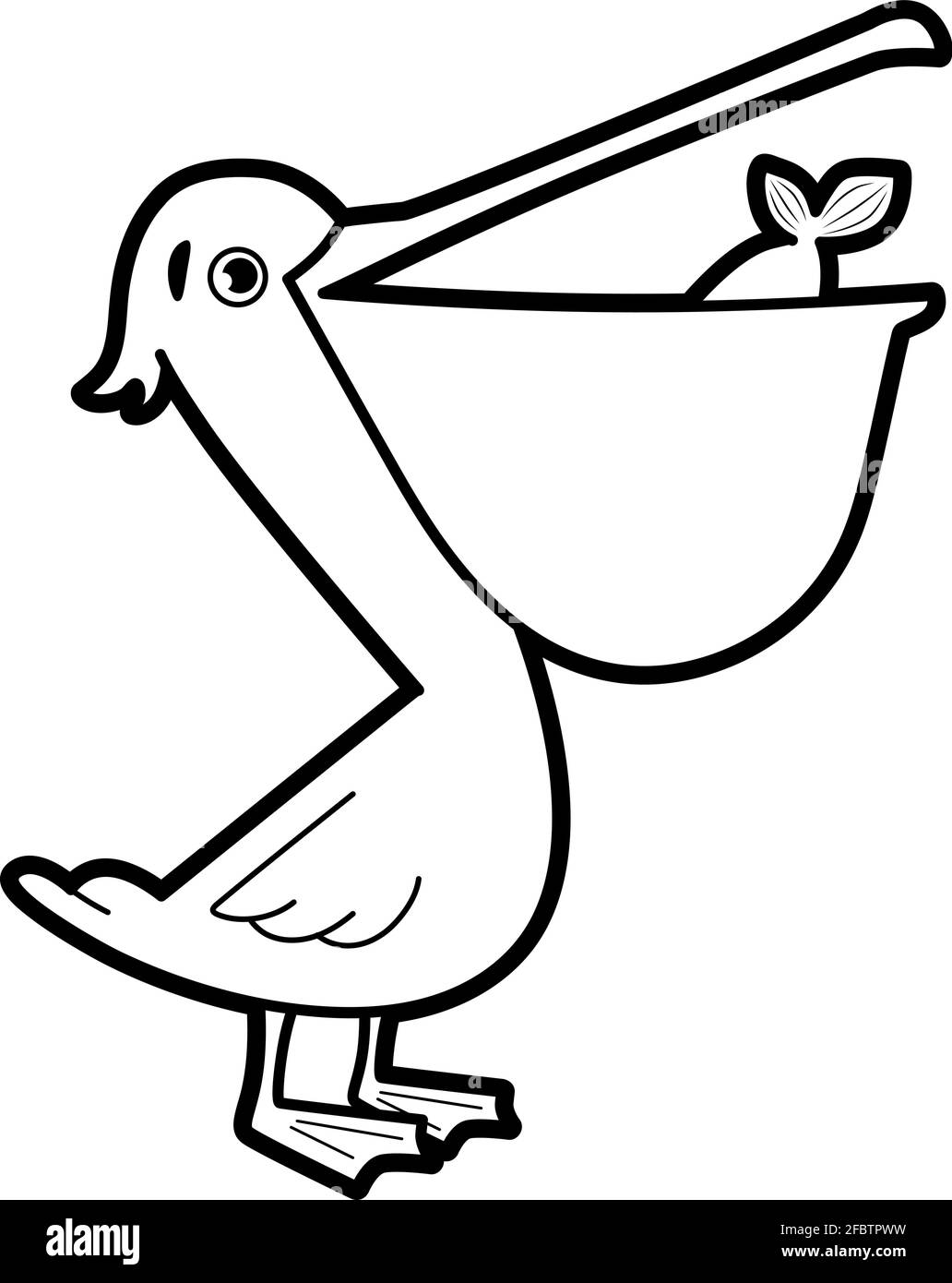 Coloring book or page for kids pelican black and white vector illustration stock vector image art