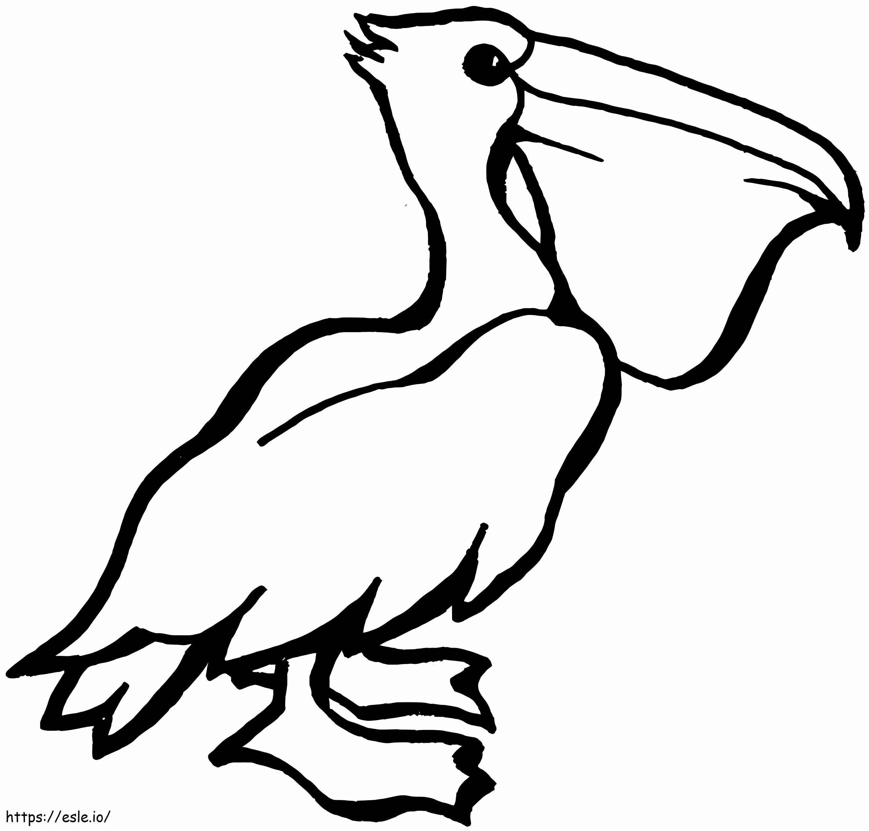 Pelican drawing coloring page