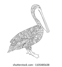 Coloring page hand drawn patterned pelican stock vector royalty free