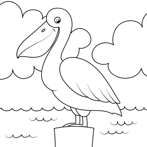 Cute pelican coloring page free printable coloring pages