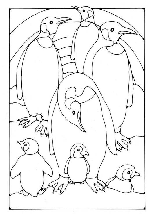 Adorable penguin coloring page
