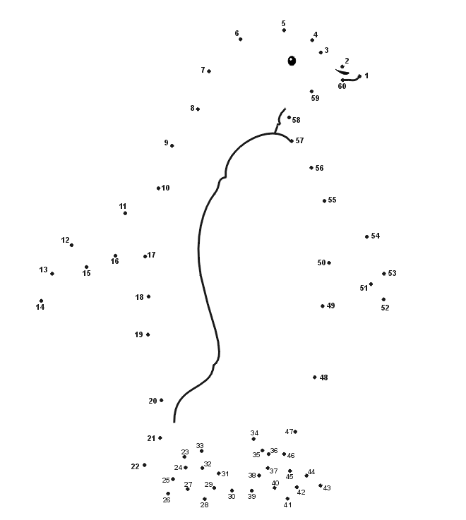 Penguin dot