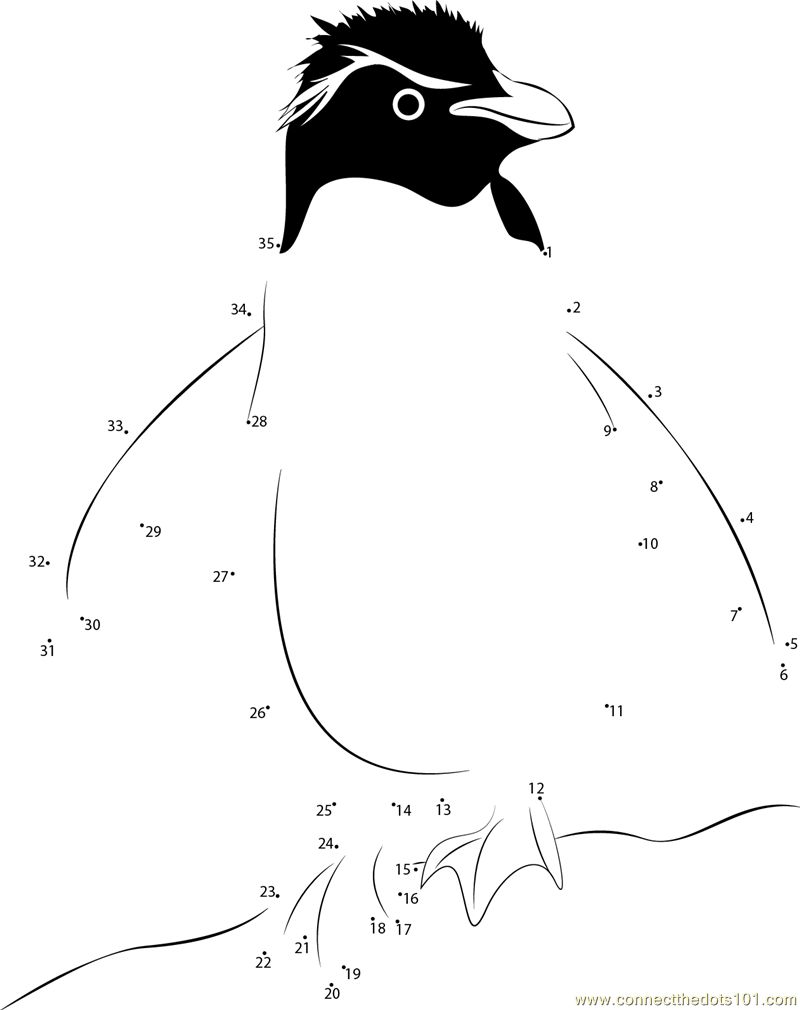 Rockhopper penguin dot to dot printable worksheet