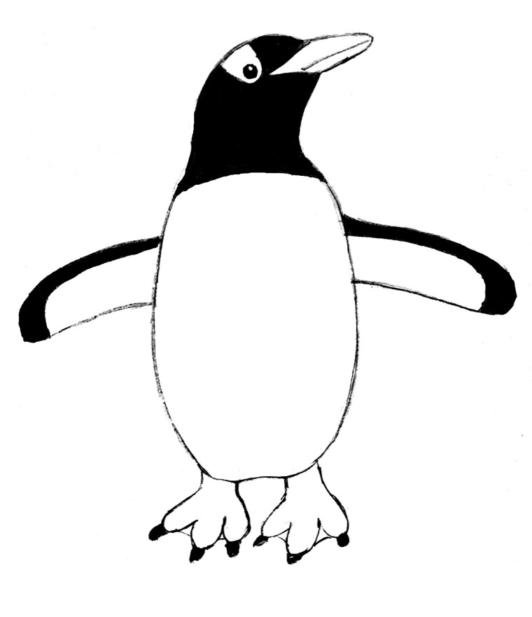 Penguin drawing step by step