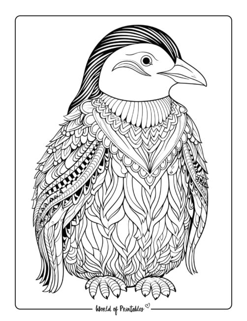 Penguin coloring pages for kids adults