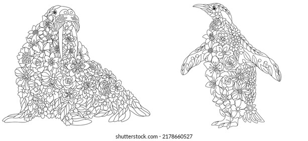 Adult penguin coloring pages images stock photos d objects vectors